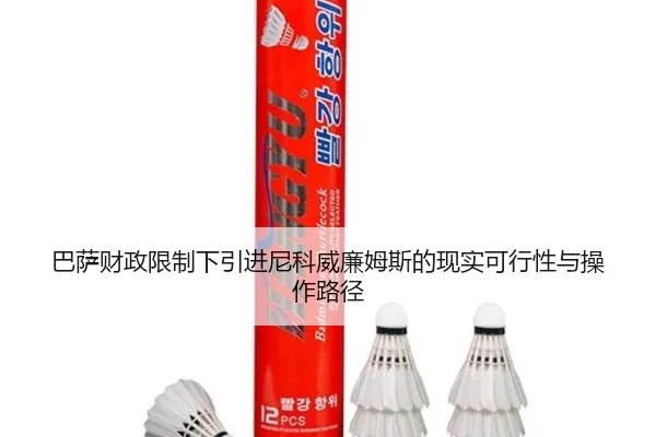 巴萨财政限制下引进尼科威廉姆斯的现实可行性与操作路径