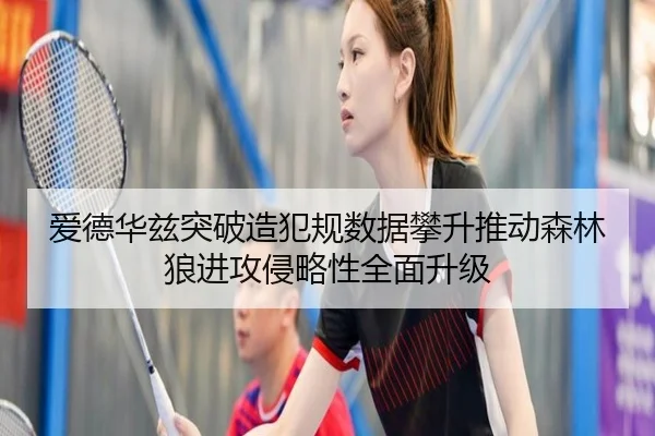爱德华兹突破造犯规数据攀升推动森林狼进攻侵略性全面升级